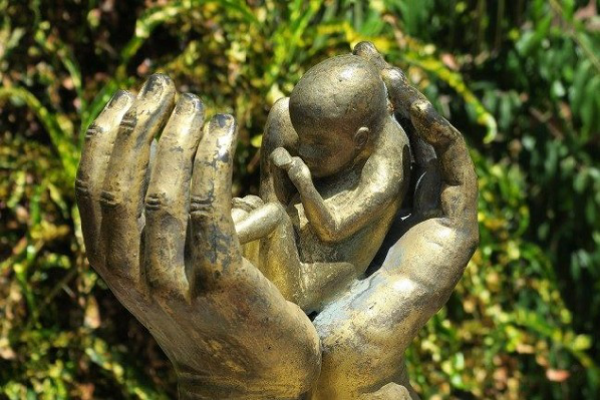 Hàn lâm viện Tòa Thánh về Sự sống: Không thể có một “quyền” tước đi sự sống con người
