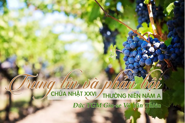 Suy niệm Tin mừng Chúa Nhật Tuần 27 - Năm A (Mt 21, 33-43)
