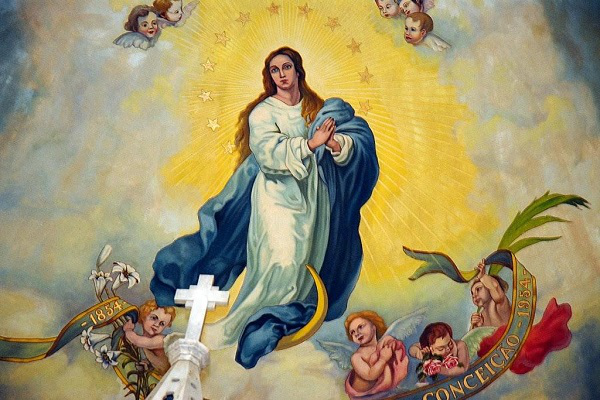 Ngày 08.12 - Đức Maria Vô nhiễm Nguyên tội