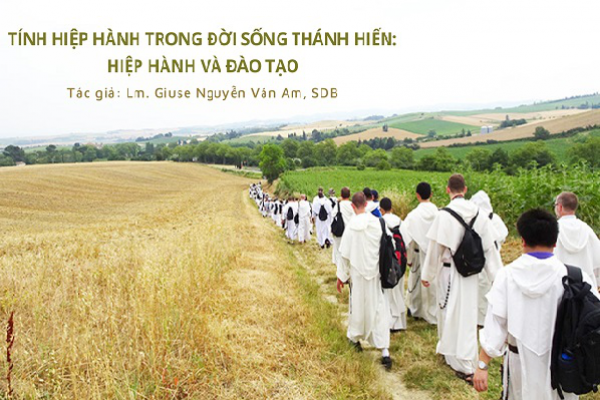 Tính hiệp hành trong đời sống thánh hiến - Hiệp hành và đào tạo