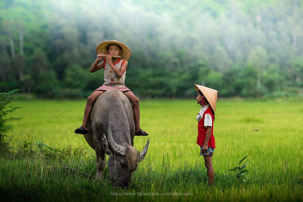 Tu sĩ và quê hương