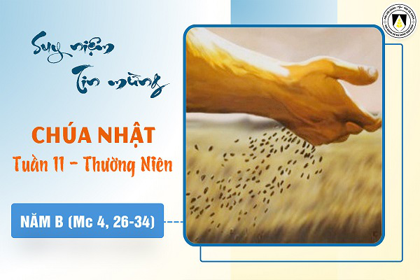 Suy niệm Tin mừng Chúa Nhật tuần XI - Thương Niên năm B (Mc 4, 26-34)