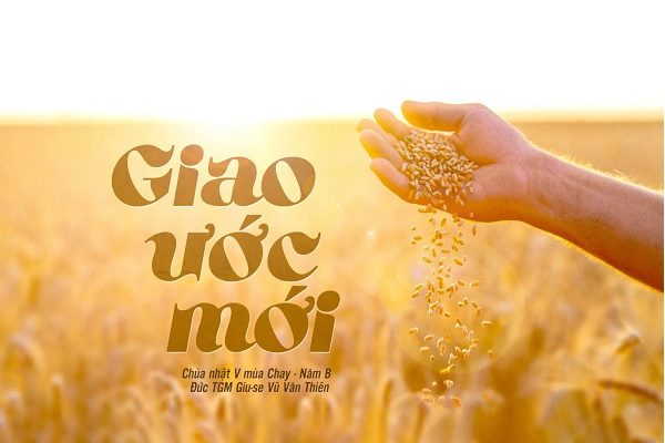 Suy niệm Tin mừng Chúa Nhật - Tuần 5 Mùa Chay năm B (Ga 12, 20-33)