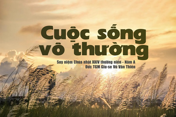 Suy niệm Tin mừng Chúa Nhật Tuần 24 - Năm A (Mt 18, 21-35)