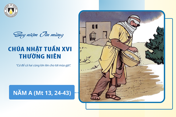 Suy niệm Tin mừng Chúa Nhật tuần XVI - Thường Niên năm A (Mt 13, 24-43)