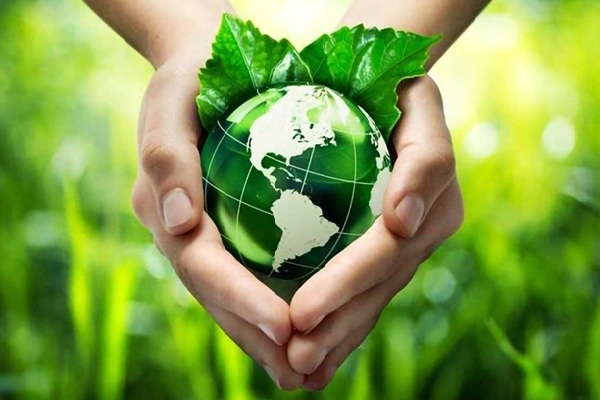 Đức Thánh Cha: Hòa bình bắt đầu từ con tim và sự hoán cải