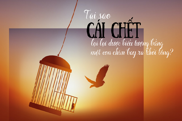 Tại sao cái chết lại lại được biểu tượng bằng một con chim bay ra khỏi lồng?