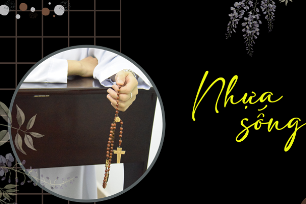 Nhựa sống của tu sĩ Đa Minh