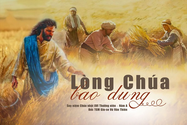Suy niệm Tin mừng Chúa Nhật Tuần 16 - Năm A (Mt 13, 24-43)