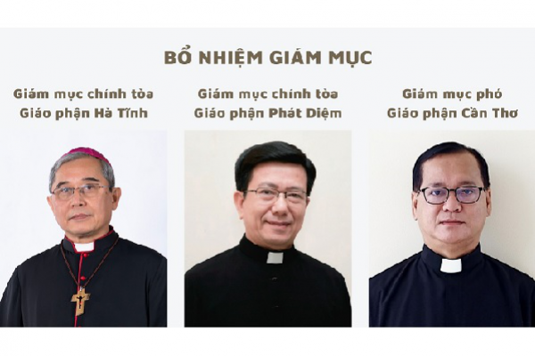 Bổ nhiệm Giám mục chính tòa các giáo phận Hà Tĩnh và Phát Diệm, Giám mục phó giáo phận Cần Thơ