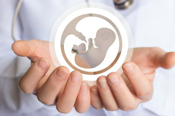 Các Giám mục Scotland thúc giục chính phủ không hợp pháp hóa việc phá thai