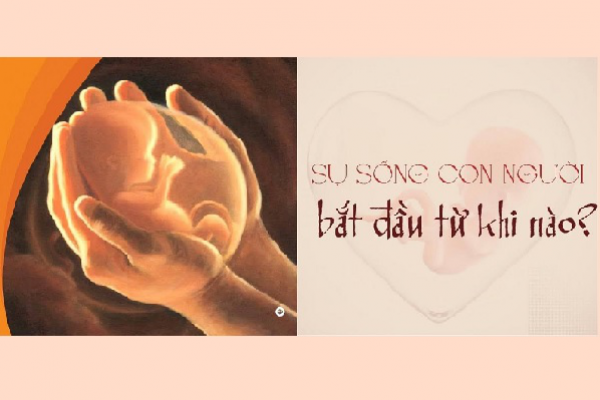 Sự sống con người bắt đầu từ khi nào?