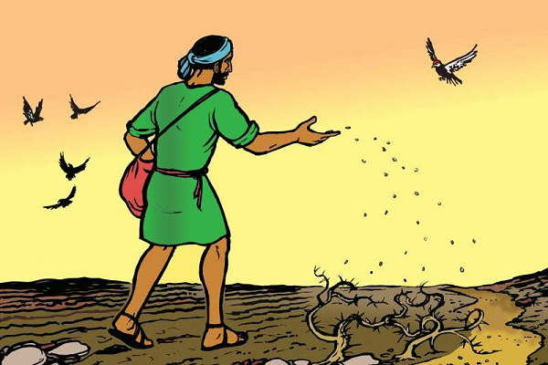 Suy niệm Tin mừng thứ Sáu - Tuần 16 - Thường niên (Mt 13, 18-23)