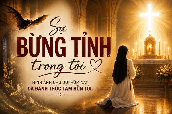 Sự bừng tỉnh trong tôi