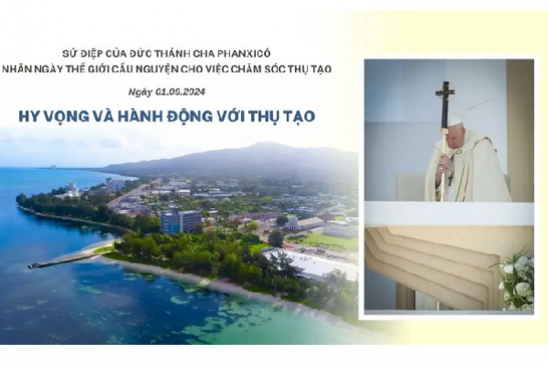 Sứ điệp của Đức Thánh Cha nhân ngày thế giới cầu nguyện cho việc chăm sóc thụ tạo