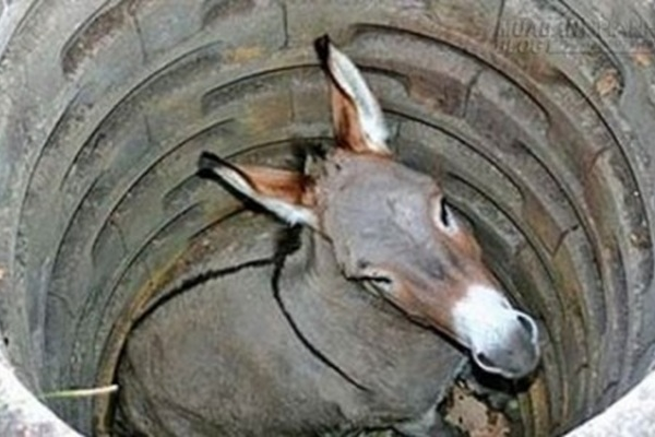 Suy niệm Tin mừng thứ Sáu - Tuần 30 - Thường niên (Lc 14, 1-6)