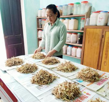 Hình ảnh Y tế