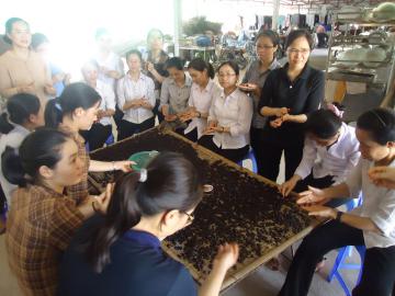 Hình ảnh Y tế
