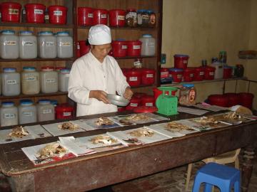 Hình ảnh Y tế