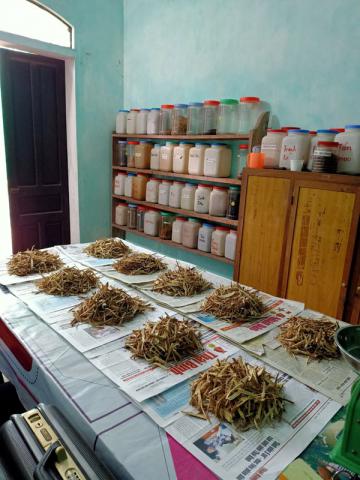 Hình ảnh Y tế