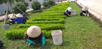 Hình ảnh Lược sử Tu viện Thánh Tôma Aquinô Cát Đàm