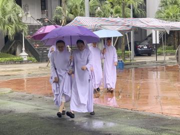 Hình ảnh: Ngày hội Ơn gọi - Lễ Chúa Chiên Lành năm 2025