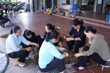 Chùm hình ảnh số 1: Thánh lễ Tạ ơn, Nghi thức Khấn Dòng và mừng Ngân khánh Khấn Dòng năm 2026 (1)